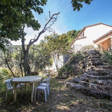 Bas De Villa Au Milieu Des Oliviers. Chateauneuf-Villevieille Exterior foto